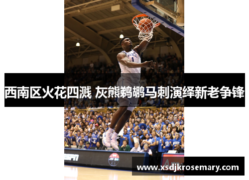 西南区火花四溅 灰熊鹈鹕马刺演绎新老争锋