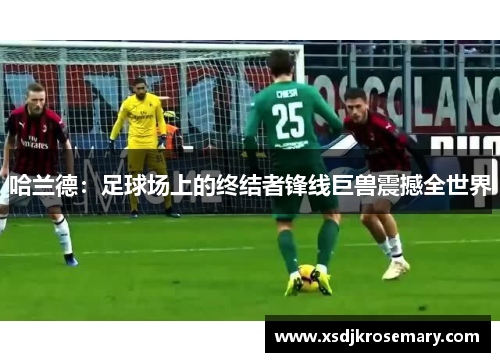 哈兰德：足球场上的终结者锋线巨兽震撼全世界