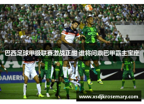 巴西足球甲级联赛激战正酣 谁将问鼎巴甲霸主宝座