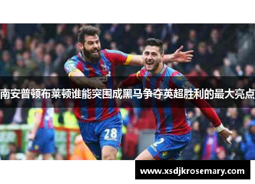 南安普顿布莱顿谁能突围成黑马争夺英超胜利的最大亮点