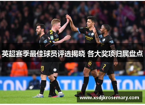 英超赛季最佳球员评选揭晓 各大奖项归属盘点